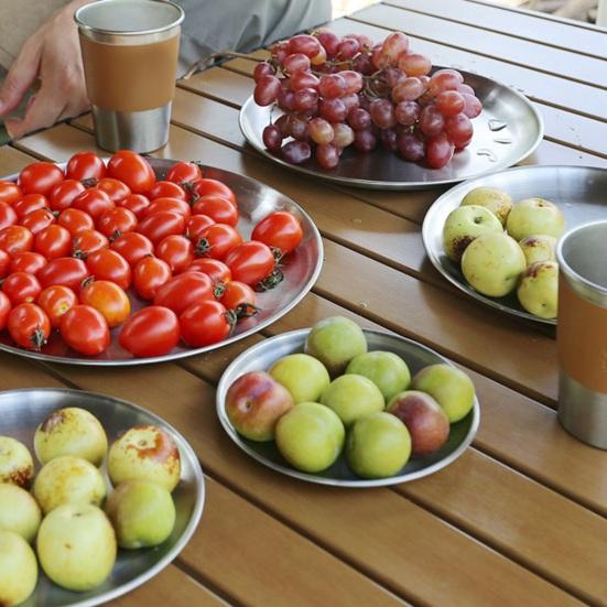 Camping Dinner Plate Stainless Steel Serving Plate Rustproof Heat-Resistant Reusable Dishwasher Safe Feeding