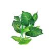 Artificial Aquarium Decor Plants Plastic Aquatic Plant with Large Green Leaves Underwater Plants Fish Tank Aquatic Plant Adorn