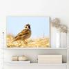 Sunset Mountains Sky Posters Sea Landscape Canvas Painting Natural Scenery Wall Art Pictures Living Room Home Decor Gift Poster