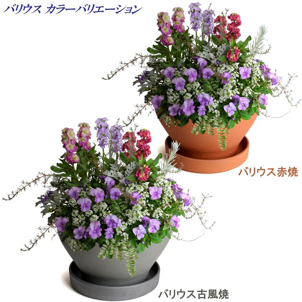 Pot Mikawa Ware KANEYOSHI In Domestic Ceramic Flower Pot Varius Red Ware 7 Plate Included [Made Japan/Reliable Quality] No.