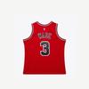 NBA Mitchell & Ness Bulls Dwyane Wade Jersey