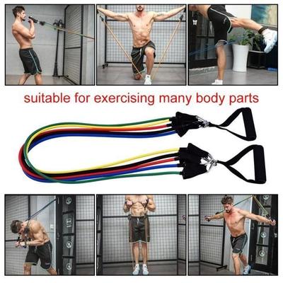 Exercise Kit - PEL - Ss-33 - Resistance Band - Eco-friendly - Unisex - Beginner