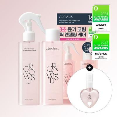 Damage No-Wash Treatment 250ml Doppelspezial (+ Schlüsselanhängerbehälter inklusive)