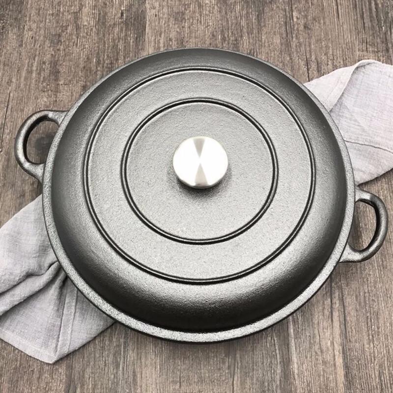 ZISIZ 30cm Cast Iron Double-Handle Pot