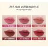 COLORKEY - Creamy Lip & Cheek Mud (4-6)