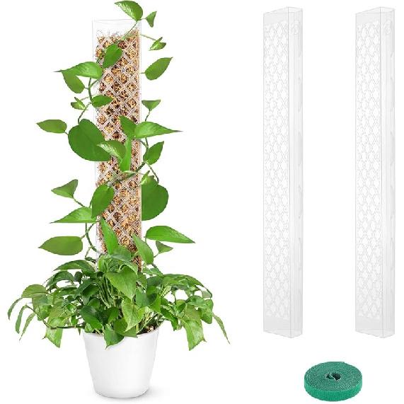 GROWNEER 4 Packs 24 Inch Plastic Moss Pole for Plants Monstera, Stackable Plant Support for Indoor Climbing Plants, Clear Plant Poles with 10FT