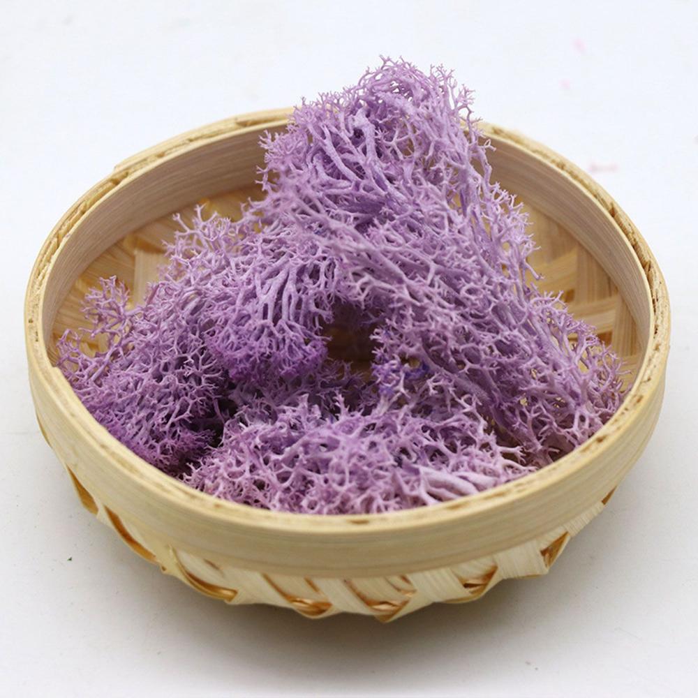 Colorful DIY Wedding Flower Home Decor Christmas Artificial plant Micro Landscape Eternal Life Moss Reindeer Moss