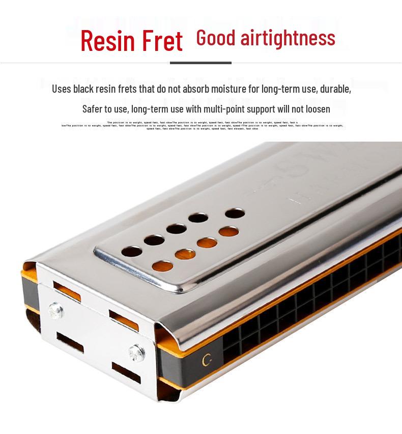 Swan 24-Hole Dual-Key Double-Sided Diatonic Harmonica for Beginners