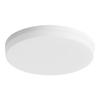 LEDs Ceiling Light Flush Mounting Round Ceiling Lamp for Kitchen Bedroom Hallway