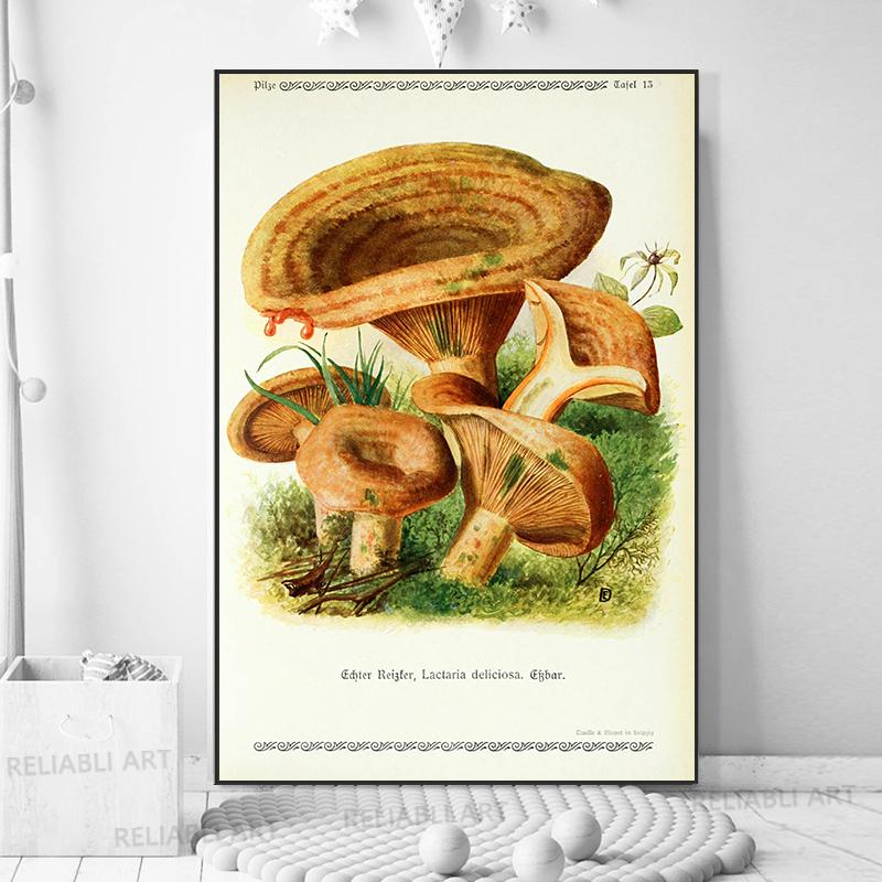 Vintage Mushroom Exemen Malba na plátně Starožitné umění na zeď Bylinné obrazy Vědecké plakáty a grafiky Dekor domácí kanceláře Cuadros