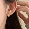 Niche 3D Butterfly Ear Hooks Women's Cold Wind Light Luxury High-end Temperament Fashion Trendy Casual Daily Wear Jewelry