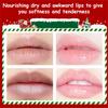 Christmas Lip Balm Gift Set, 3 Fruit Flavors Moisturizing Lip Balm For Dry Chapped Lip, With Exquisite Packaging,Women Men Lip Care Gifts