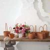Pastoral-Style Handwoven Rattan Flower Basket - Small Decorative Green Plant Basket