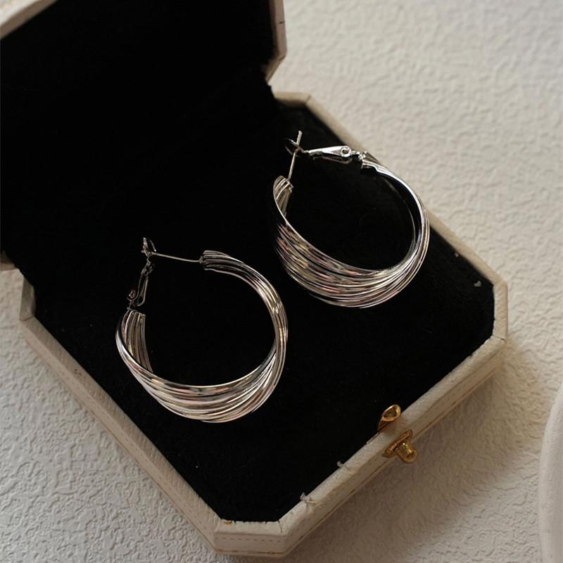 Elegant Retro Hong Kong Style Metal Hoop Earrings - Niche Design for Women