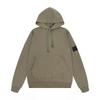 Basic Plain Hooded Sweatshirt Men Women 360g Cotton Loose Fit Casual Streetwear