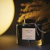 PILOT Iroshizuku Ink Tsukiyo INK50TY - (Moonlit Night)