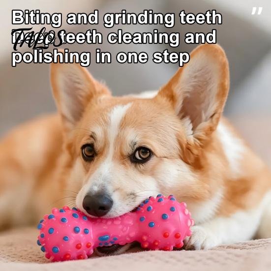 Safe Non-Toxic Dog Toys Squeaky Dumbbell Toy, Vinyl Chew Spiky Teeth Interactive Pet for Small Medium Dogs Cleaning Toy Large Play Oral Health Care