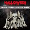 28 Pack Skeleton Bone and Skull Halloween Skeleton Bone Figurine for Halloween Spooky Graveyard Ground Decoration