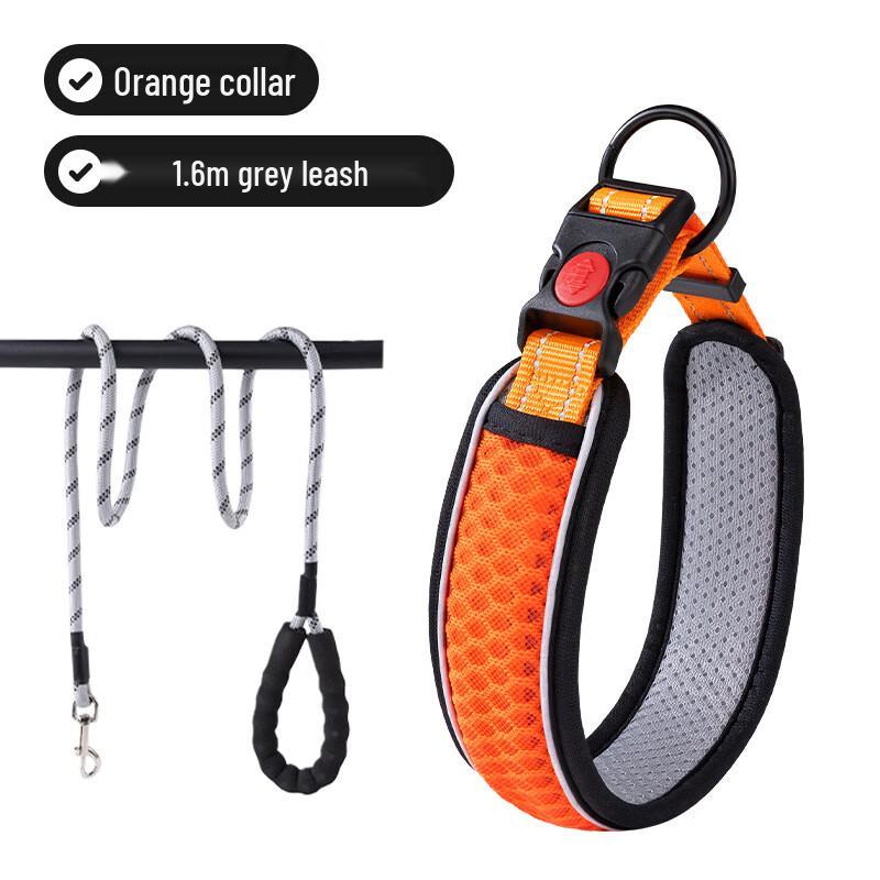 Qi e Pet Collar and Leash Set