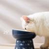 Dog Cat Kitten Cat Feeder Drinker Pet Feeder Bowl Water Feeder Container Pet Supplies Cat Food Bowl