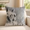 Singer BBryan CChase Cushion Cover Soft Short Plush SkinFriendly Cushion Case for MultiScene Use