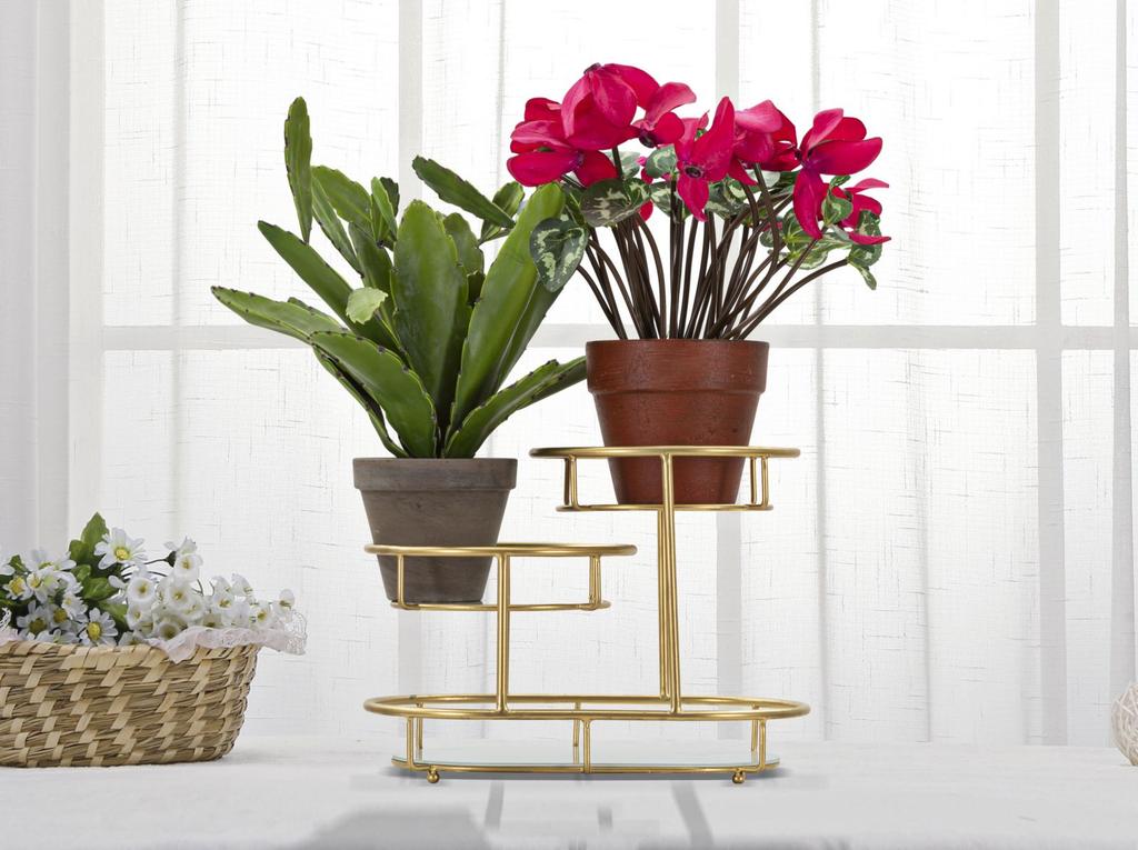 Tray 3 Levels -B- Cm 36X22,5X27