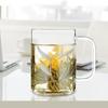 Sohome 500ml Heat-Resistant Glass Mug with Bamboo Lid
