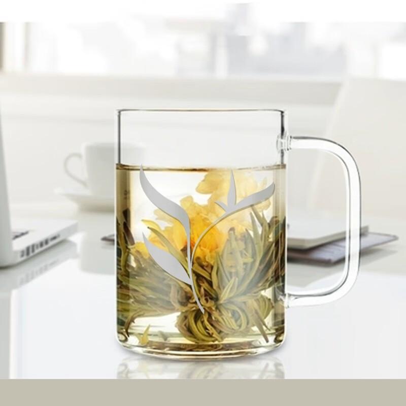 Sohome 500ml Heat-Resistant Glass Mug with Bamboo Lid