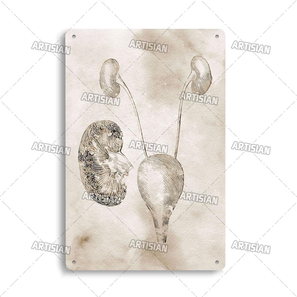 Placca Metallica Artigianale Clinica Dentista Cartello in Latta Anatomia Piatto Decorativo Medico Ospedale Chirurgia Dente Organo Ossa Nervo Cervello