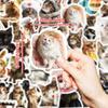 10 30 50 Stück Lustige Süße Katzen Meme Tiere Aufkleber Ästhetisch Kawaii Abziehbild DIY Laptop Gitarre Skateboard Wasserdichter Graffiti Aufkleber
