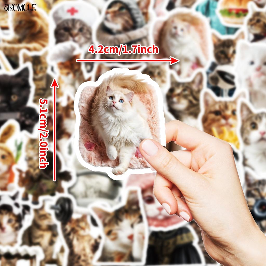 10 30 50 Stück Lustige Süße Katzen Meme Tiere Aufkleber Ästhetisch Kawaii Abziehbild DIY Laptop Gitarre Skateboard Wasserdichter Graffiti Aufkleber