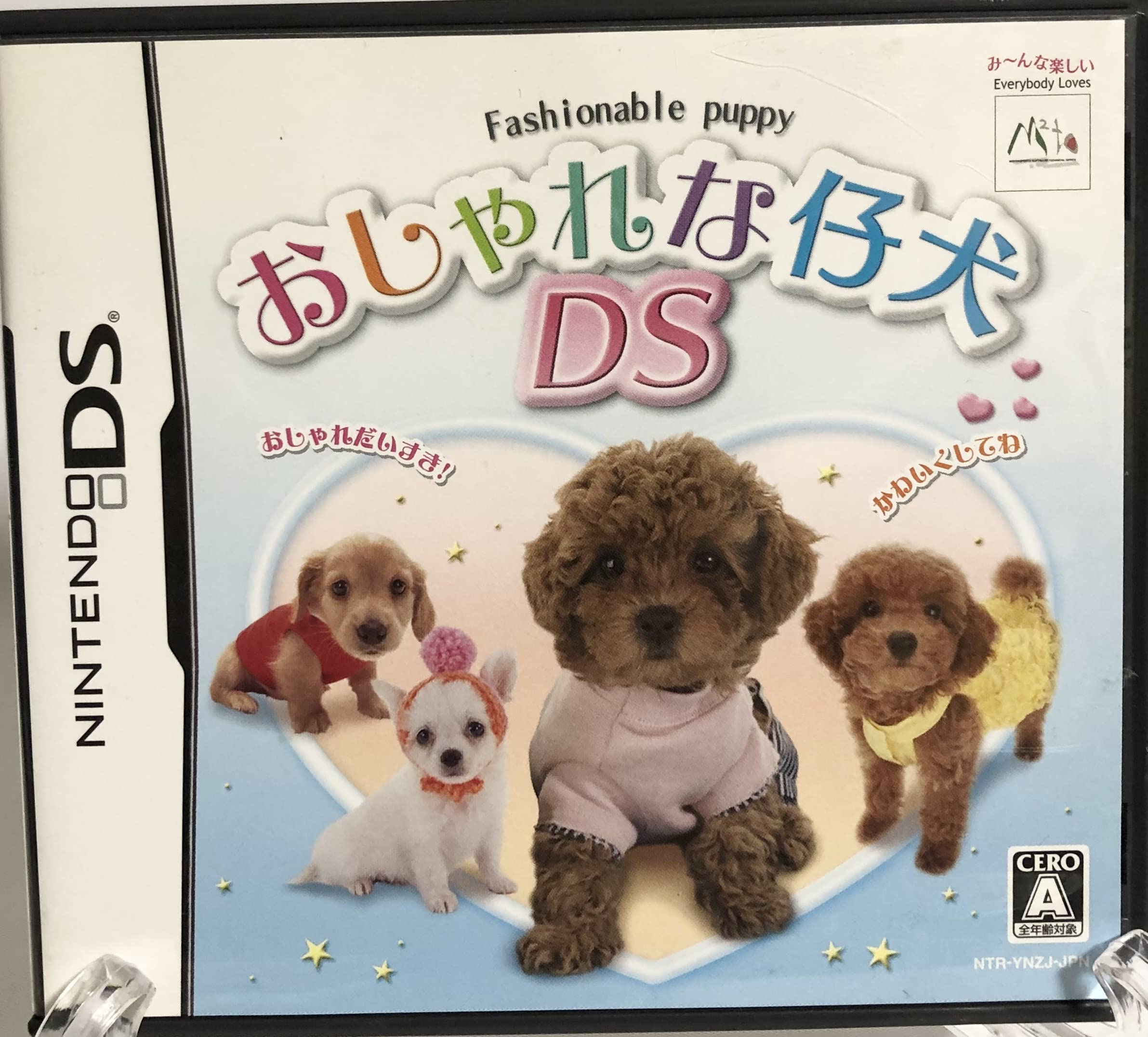 

stylish puppy