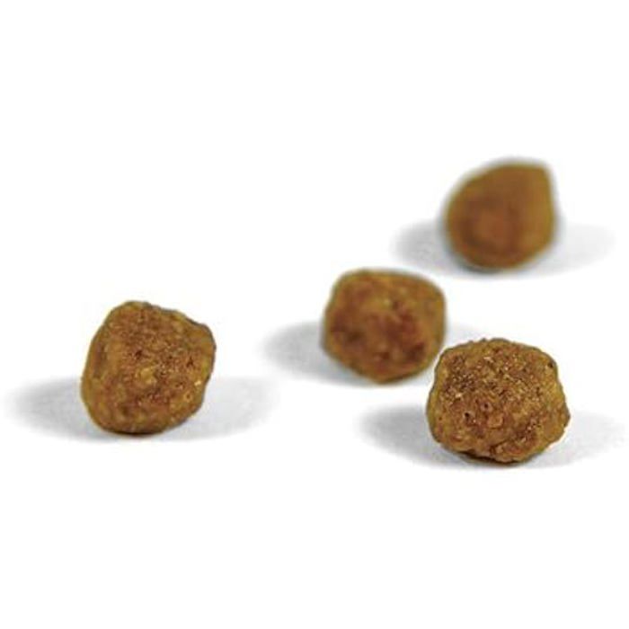 Croquettes Pour Chaton - JOSERA - Kitten GRAIN FREE - 2 Kg - Sans Céréales - Huile De Saumon