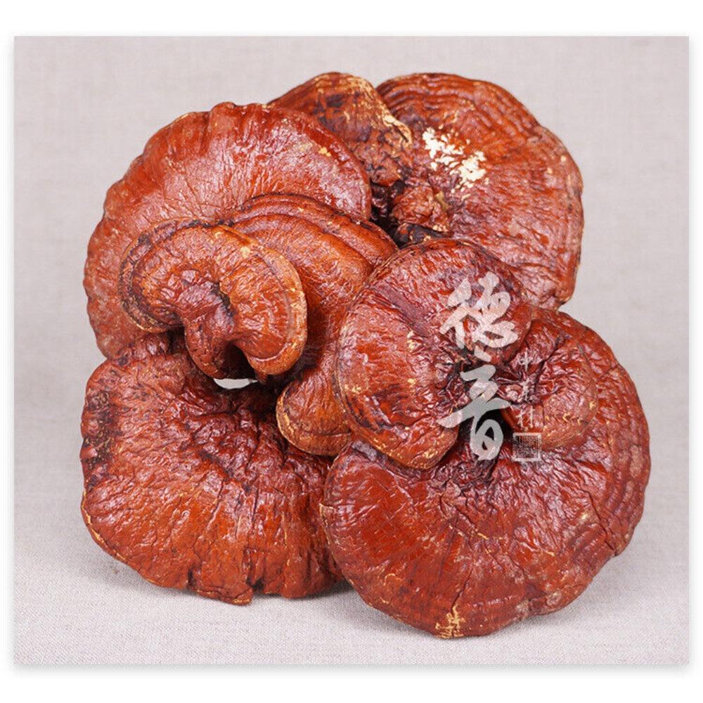 High Quality Ganoderma Lucidum 500g Jilin Origin Natural Herbal Tea Dietary Supplement