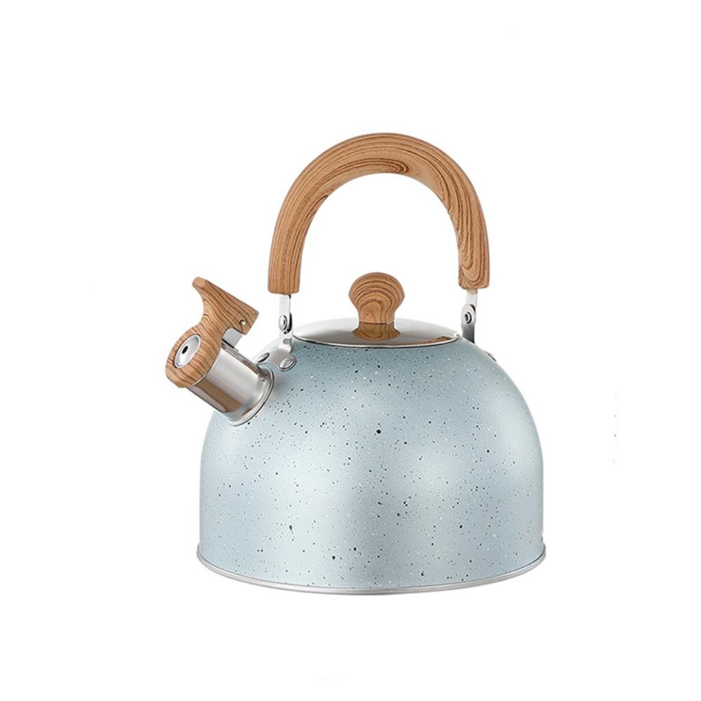 Flat Bottom Star Point Whistle Kettle 2/3L Teapot Durable Stove Water Kettle  Induction Cooker