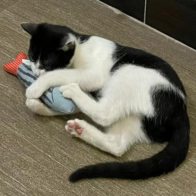 Squeaky Sea Fish Shape Sphynx Cat Toy Catnip Plush Stuffed Pet Toys for Cats Gotas Kitten Kedi Funny mascotas Play Accessories