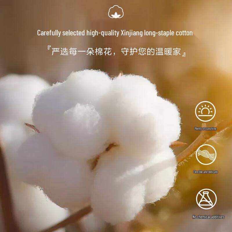 Natural Xinjiang Cotton Winter Duvet