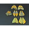 Natural Bumble Bee Jasper Matched Pair Fancy Cabochon Gemstone 07 Pair Lot C-3512