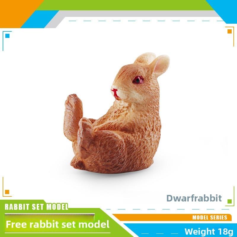 Wildlife Station Simulated And Sitting Posture Model Desktop Ornament For Kid
