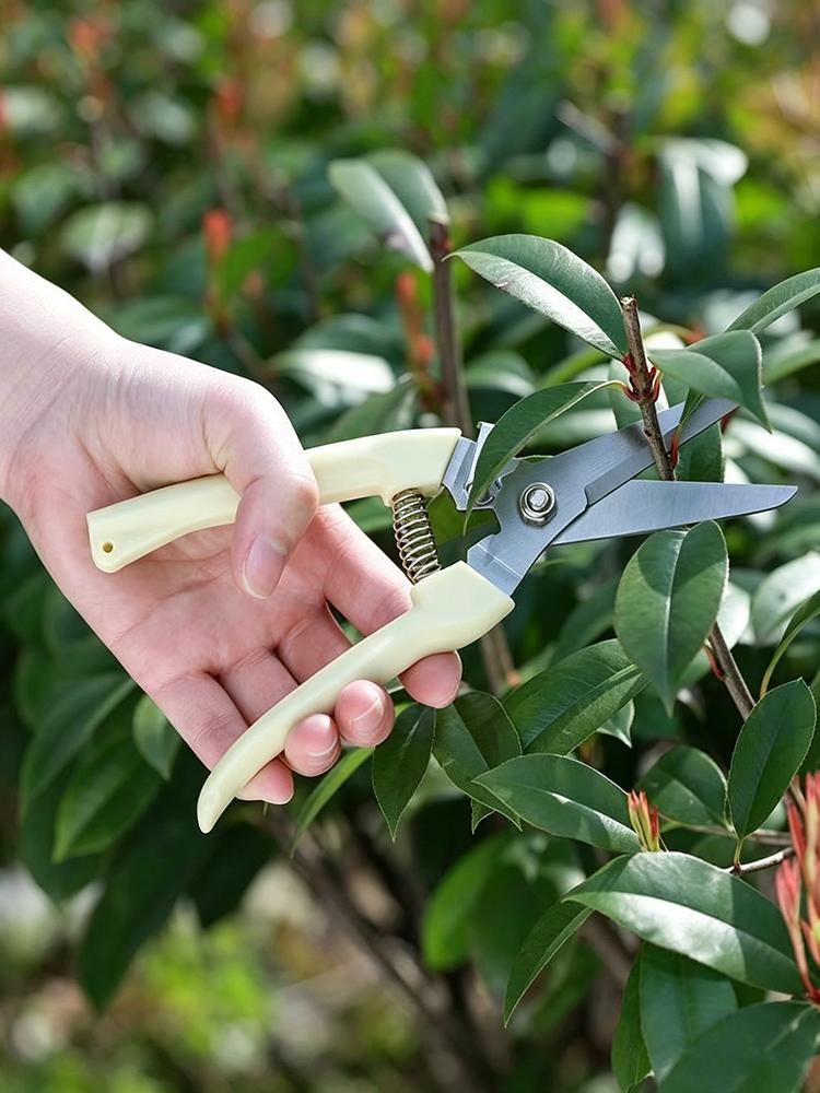 Grafting Pruning Shears  Garden Grafting Scissors Multi-Function Fruit Tree Branch Cutting Trimmer Tool for Gardening Plant Grafting бежевый