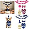 Pet Birthday Party Decoration Set with Banner Crown Bow Tie Bandana and Number Stickers for Dog Cat Celebration Accessories
