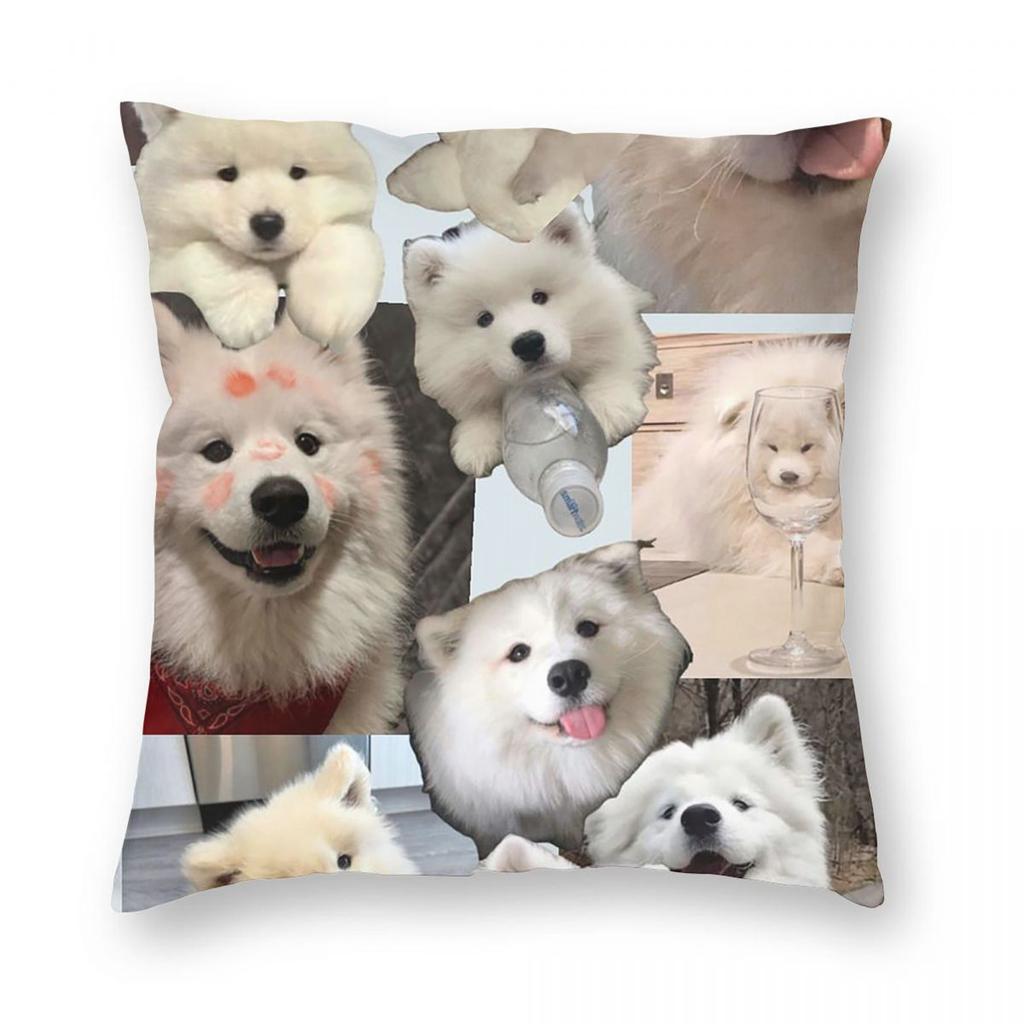 Samoyed - Stunning Dog! Square Pillowcase Pillow Cover Cushion Throw Pillow for Home Sofa Living Room