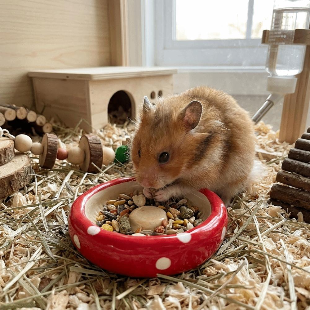 Cute Pet Feeding Tray Ceramic Pet Feeding Bowl Creative Hamster Mushroom Food Bowl Decorative
