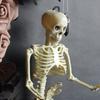 Halloween Wreath with Skull Black Roses Rose Grapevine Garland Handmade Artificial Moon Cat Garland Goth Roses Black Cat Garland