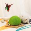 Wear-Resistant Turtle Shape Scratching Board Grinding Claws Cat Grinding Paw Balls  Relieve Boredom