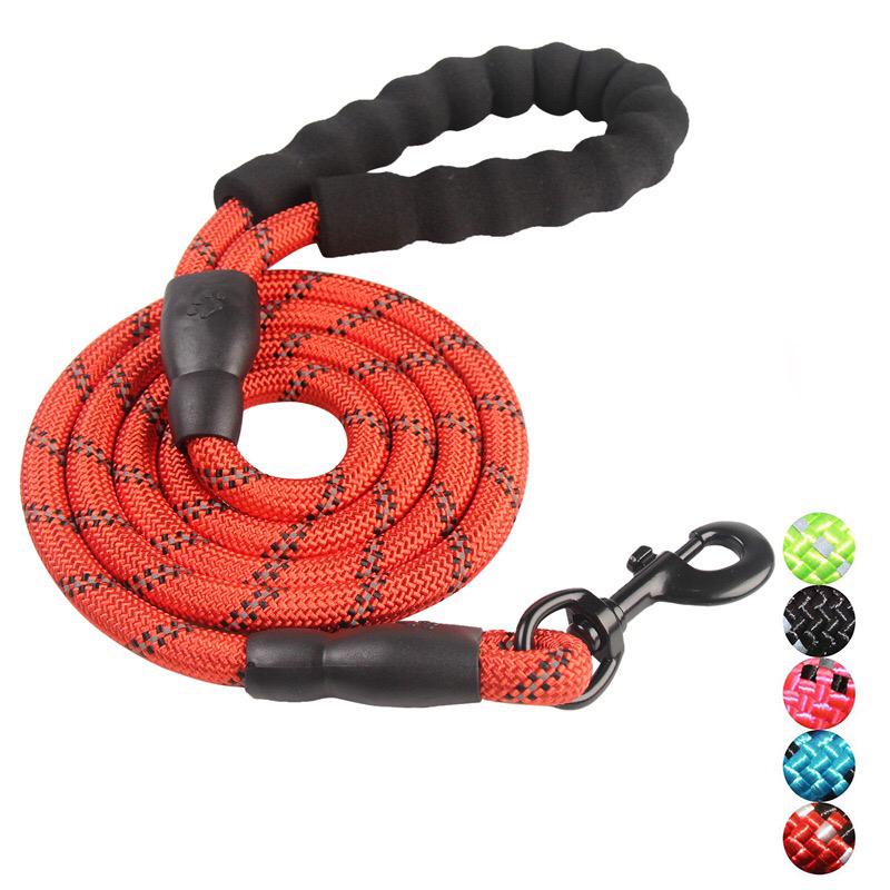 heavy dog leash