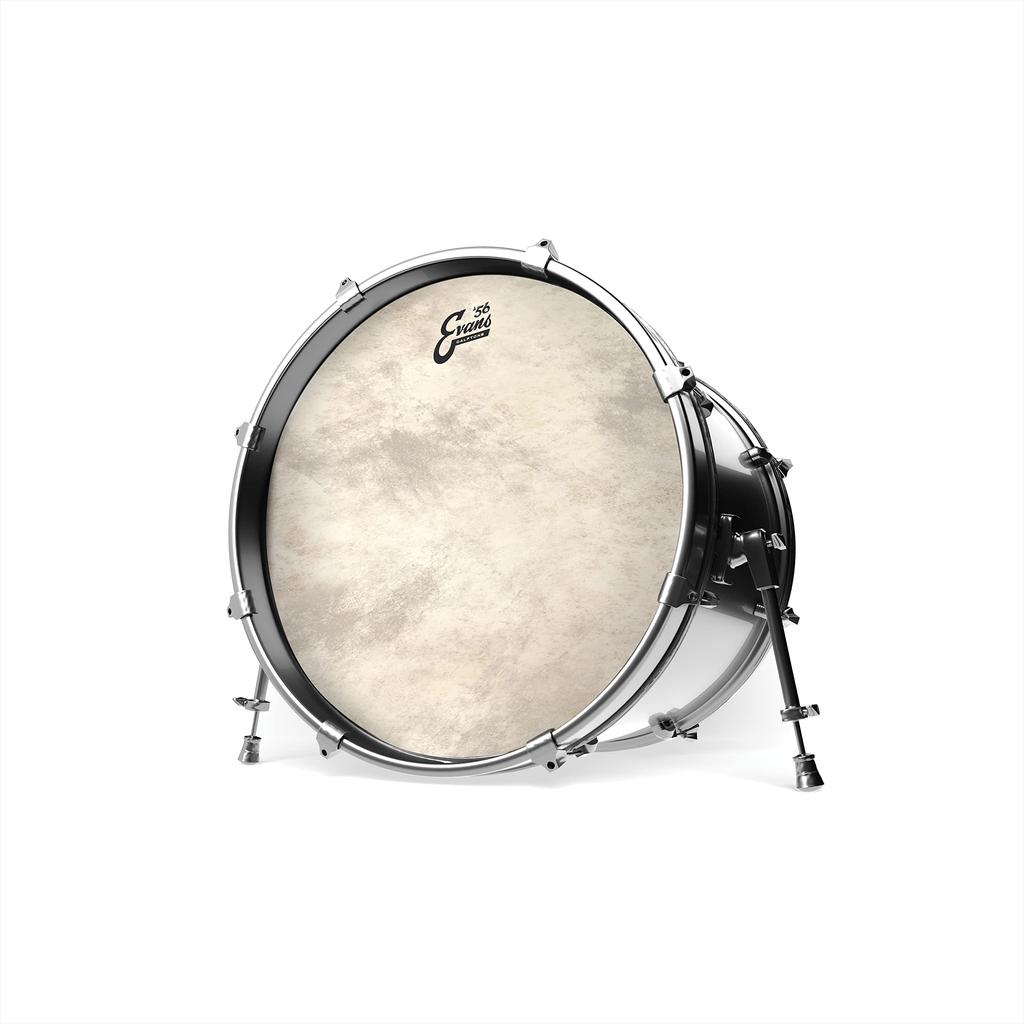 EVANS Calftone Bass Drumhead BD18CT 18-inch