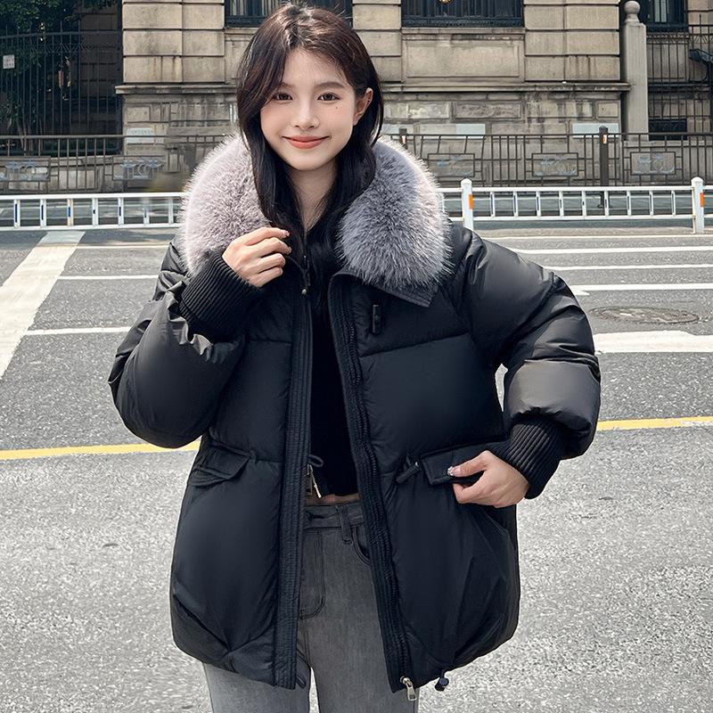 New Down Cotton-padded Jacket Female Short Little Korean Version of Loose Padded Cotton-padded Coat Bread Coat.