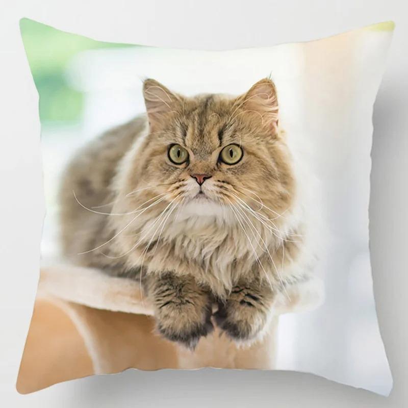 Süße Katze Umarmungskissenbezug Haustier Interaktive Illustration Kissen Heilende Heimdekoration Sofakissen