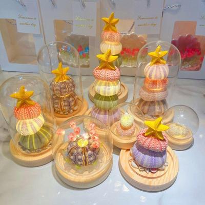 Leuchtende Muschel & Seeigel Nachtlicht Geschenkset für das Frühlingsfest oder Geburtstag